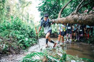 BIB: 
                            <button type="button" onclick="openModal(25471393)" class="btn btn-primary btn-sm float-right btn-popup" data-toggle="modal" data-target=".modal-high-quality">
                        <i class="fas fa-shopping-cart"></i> Add to Cart
                    </button>
                                            <button type="button" onclick="isThisMe(25471393, true)" class="btn btn-success btn-sm float-right btn-popup btn-isme hidden" data-toggle="tooltip" data-placement="bottom" title="นี่คือรูปของคุณใช่ไหม คลิกที่นี่เพื่อเอาเข้าอัลบั้ม">
                        <i class="fas fa-plus"></i> Add to album
                    </button>
                    <button type="button" onclick="isThisMe(25471393, false)" class="btn btn-warning btn-sm float-right btn-popup btn-isnotme hidden">
                        <i class="fas fa-ban"></i> Remove from album
                    </button>